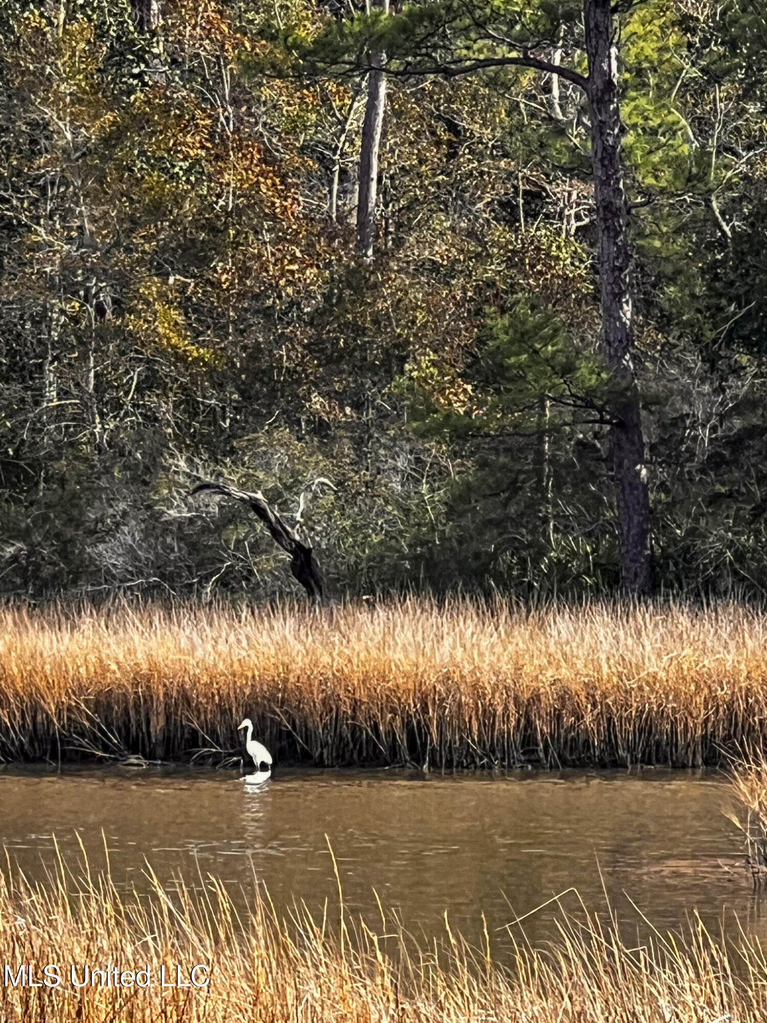 Lot 2 Eagle Point Road, Ocean Springs, Mississippi image 9