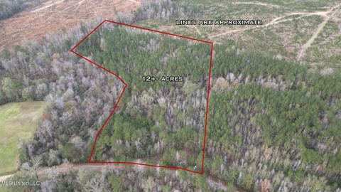 Vacant Land For Sale - 57 Mose Hilliard Road<br/> Sontag, MS 39665