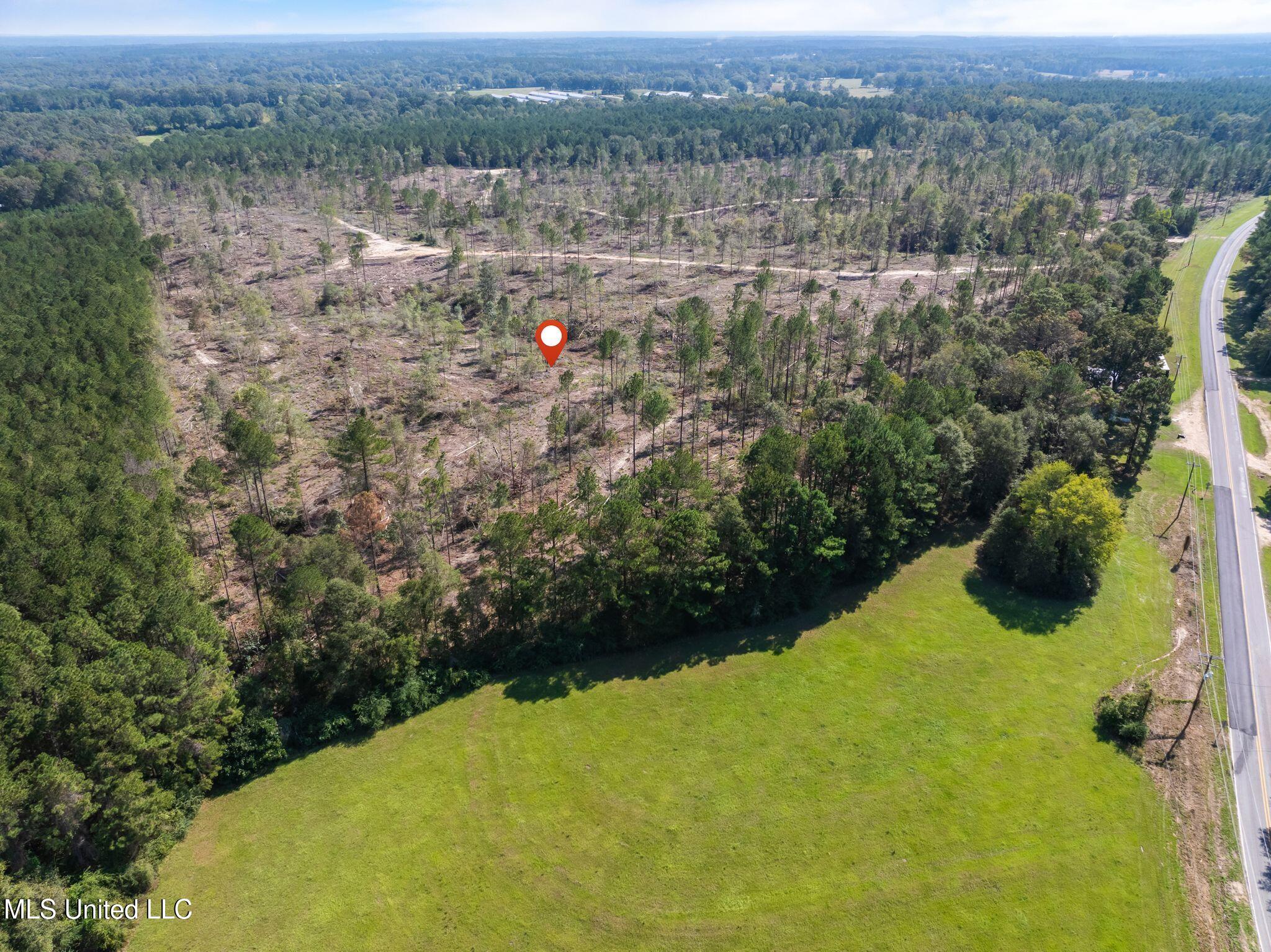 14.55 Acres +/- Shirley Sanford Road, Seminary, Mississippi image 4