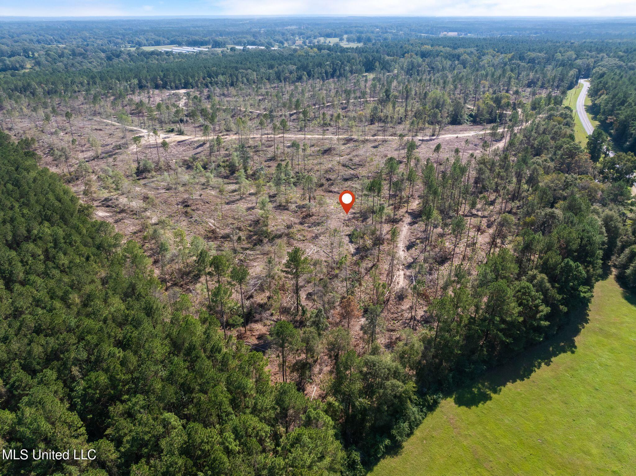 14.55 Acres +/- Shirley Sanford Road, Seminary, Mississippi image 5