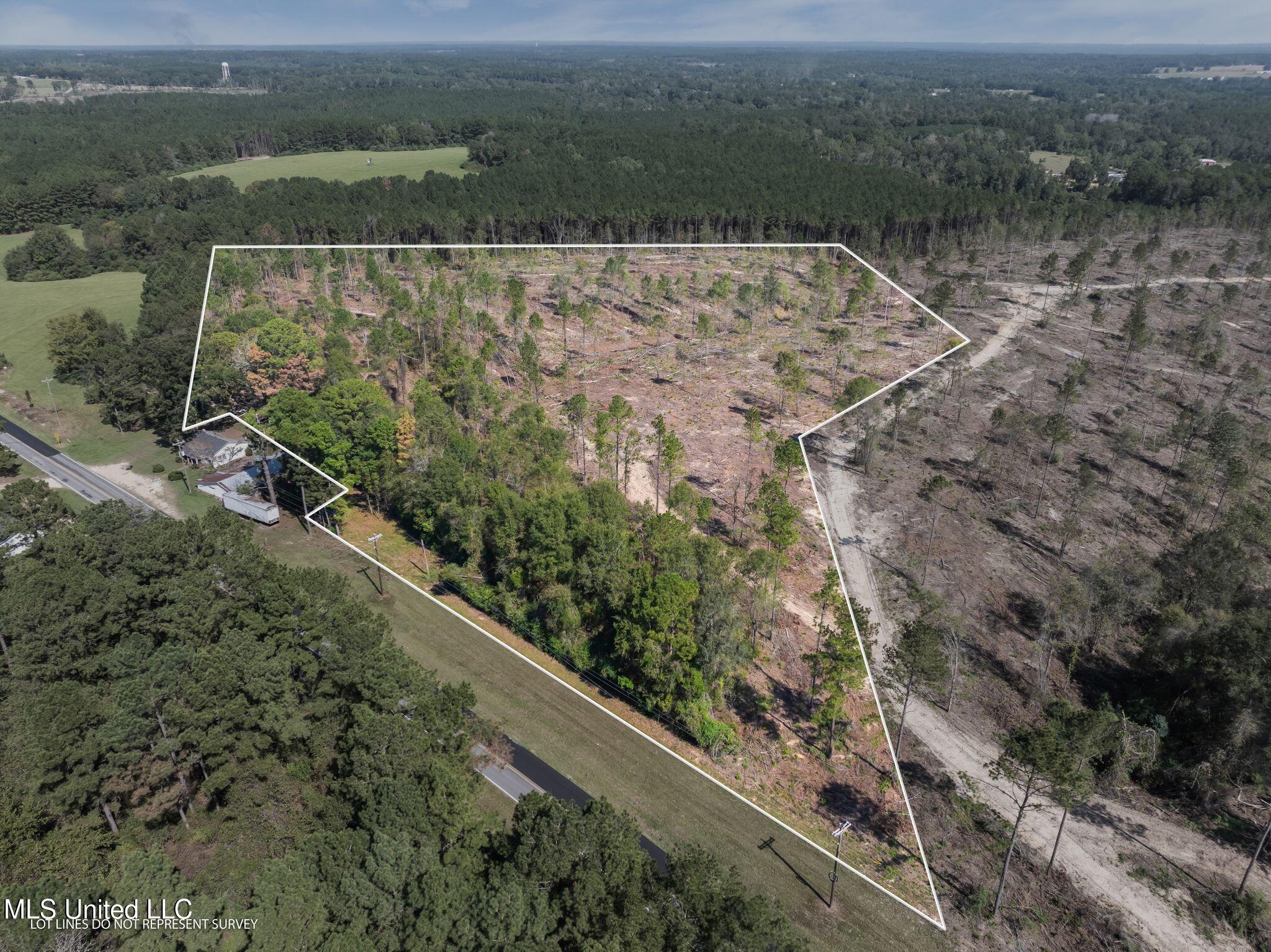 14.55 Acres +/- Shirley Sanford Road, Seminary, Mississippi image 2