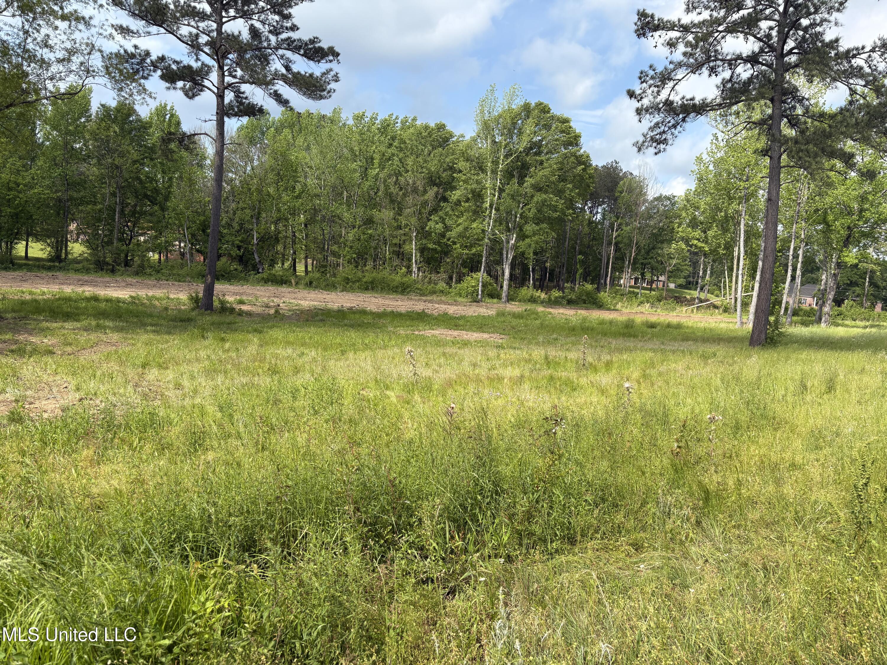 4887 Jackson Raymond Road, Raymond, Mississippi image 2