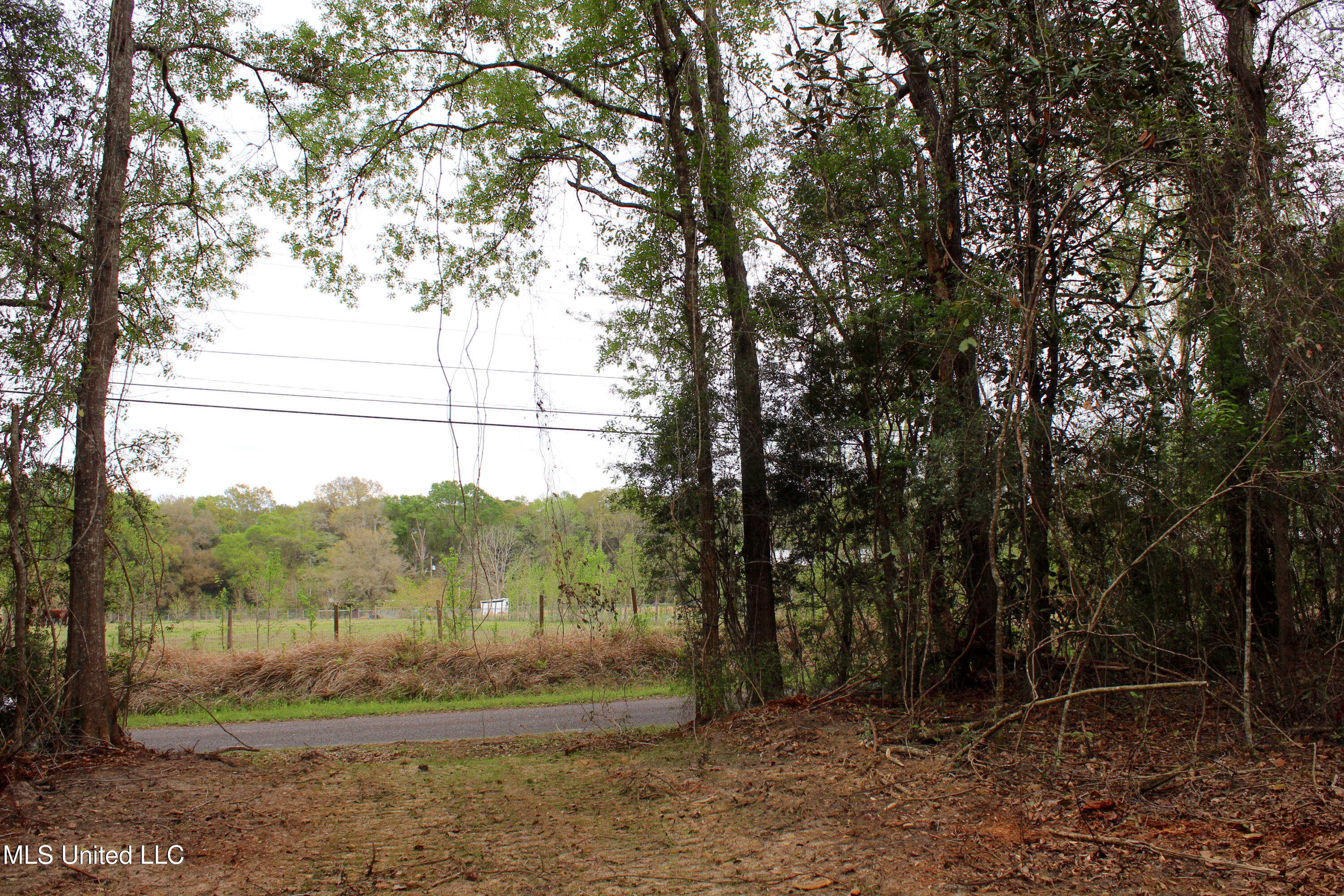 Lot 7 Frank Snell Road, Moss Point, Mississippi image 3