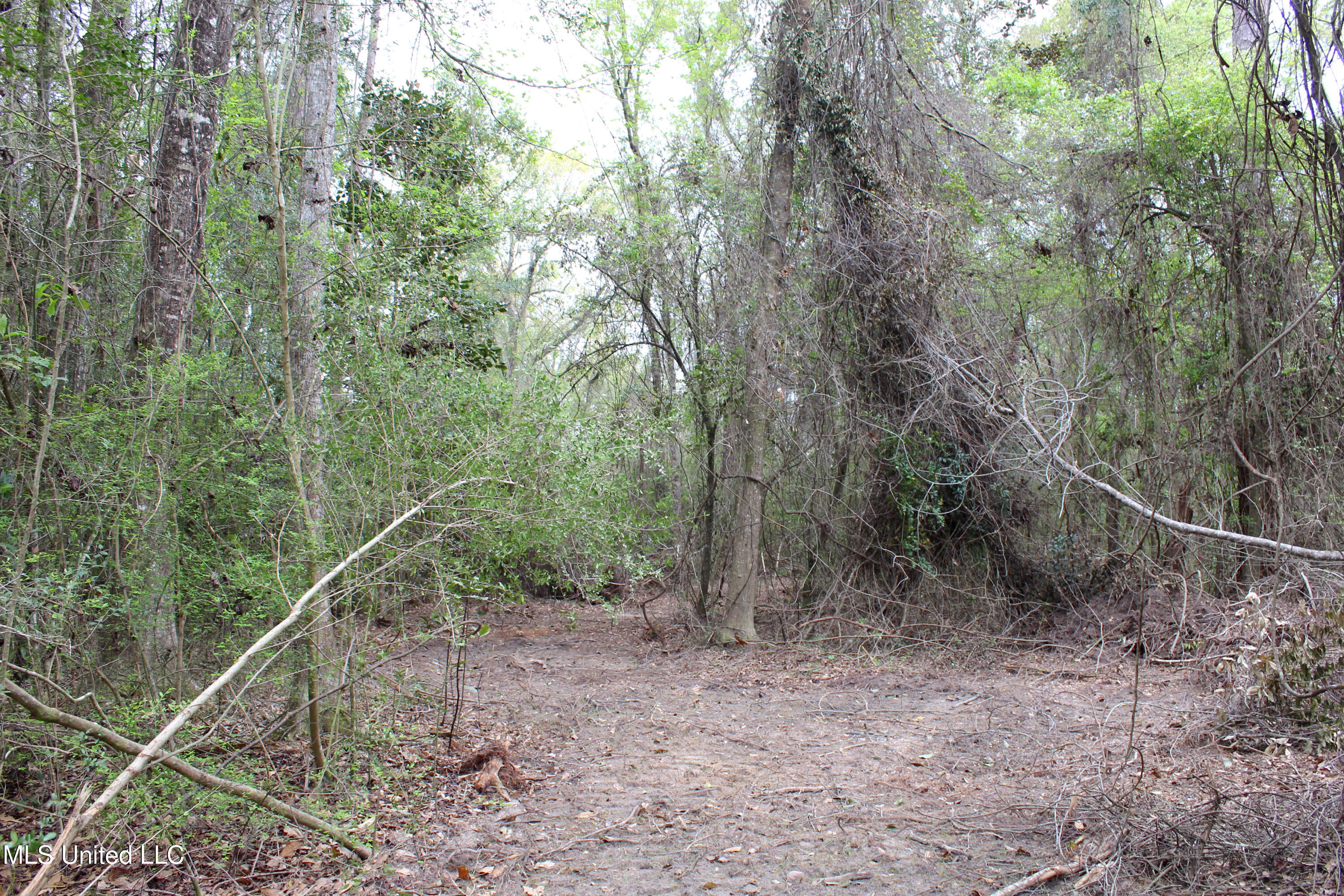 Lot 7 Frank Snell Road, Moss Point, Mississippi image 6