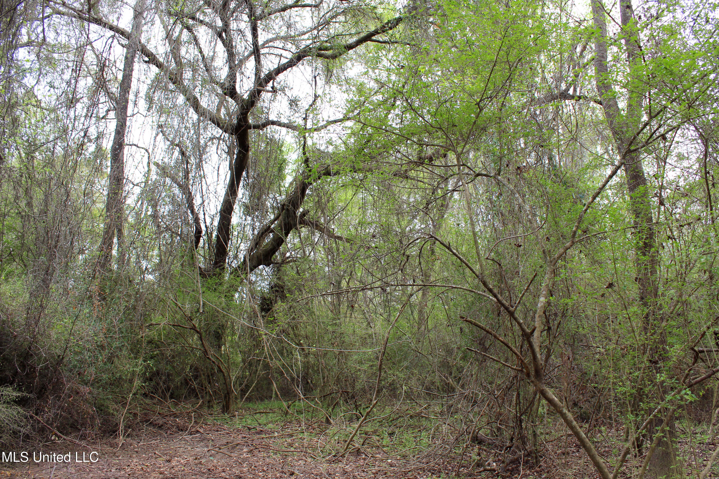 Lot 7 Frank Snell Road, Moss Point, Mississippi image 1