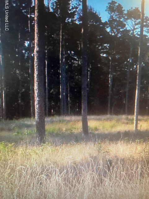 Vacant Land For Sale - LOT 47 Apollo Way<br/> Canton, MS 39046