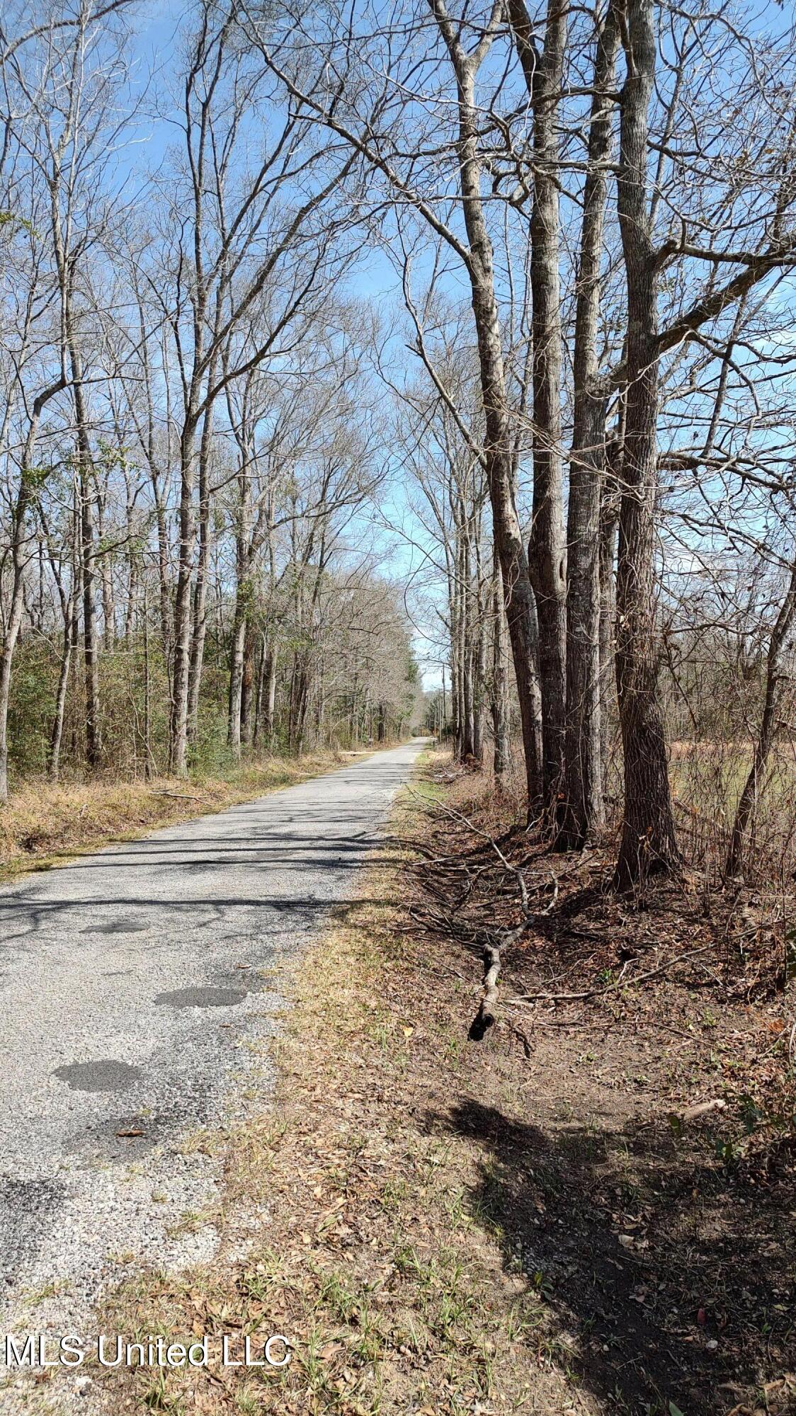 No Archie Wheat Road, Poplarville, Mississippi image 11