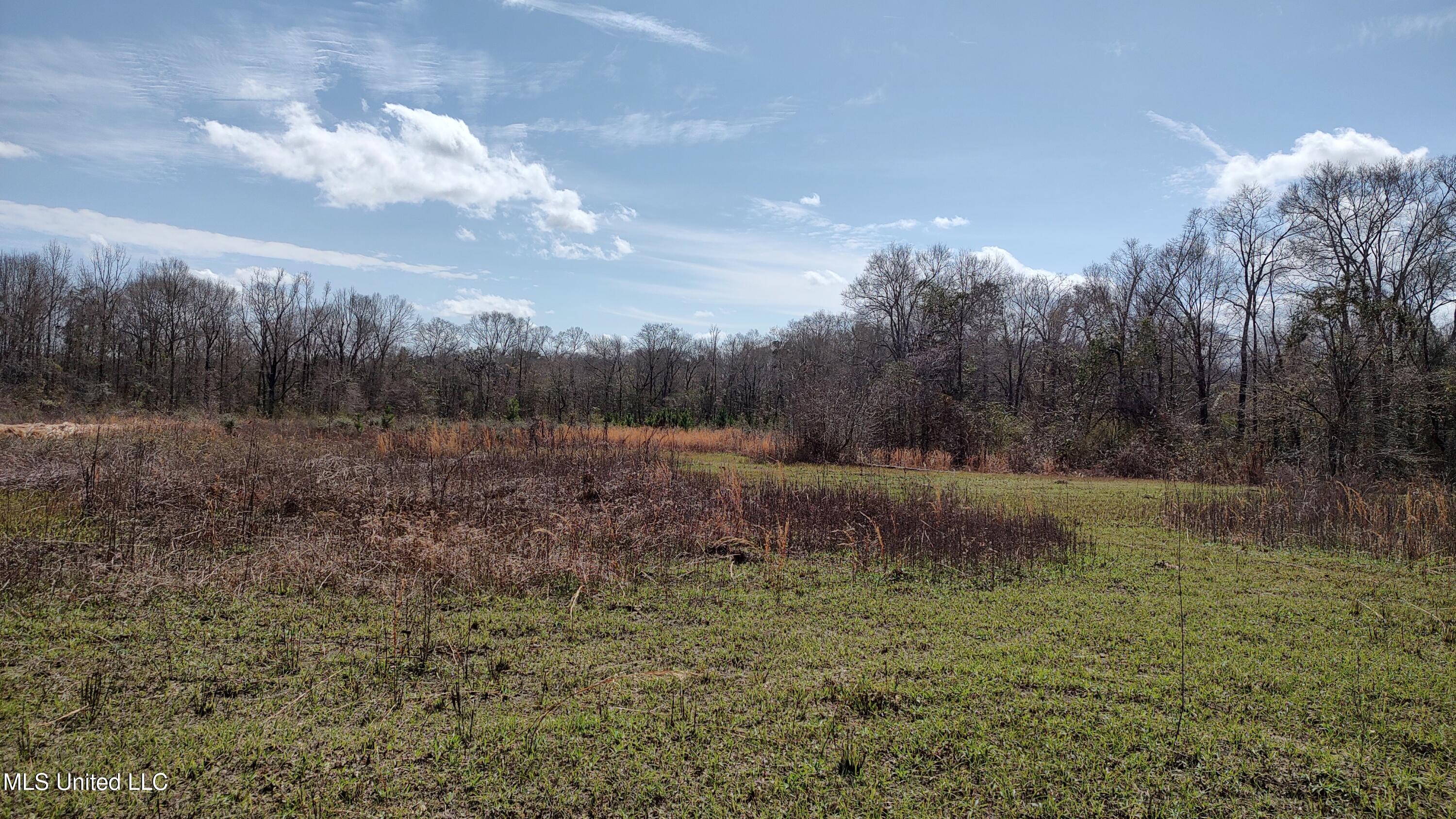 No Archie Wheat Road, Poplarville, Mississippi image 7