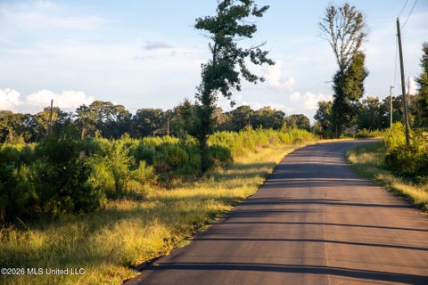 Vacant Land For Sale - Owen Boone Road<br/> Puckett, MS 39042