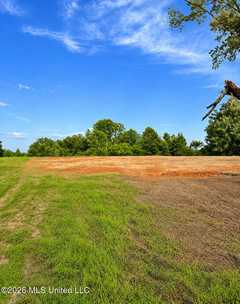Vacant Land For Sale - 8847 County Road 77<br/> Mize, MS 39116