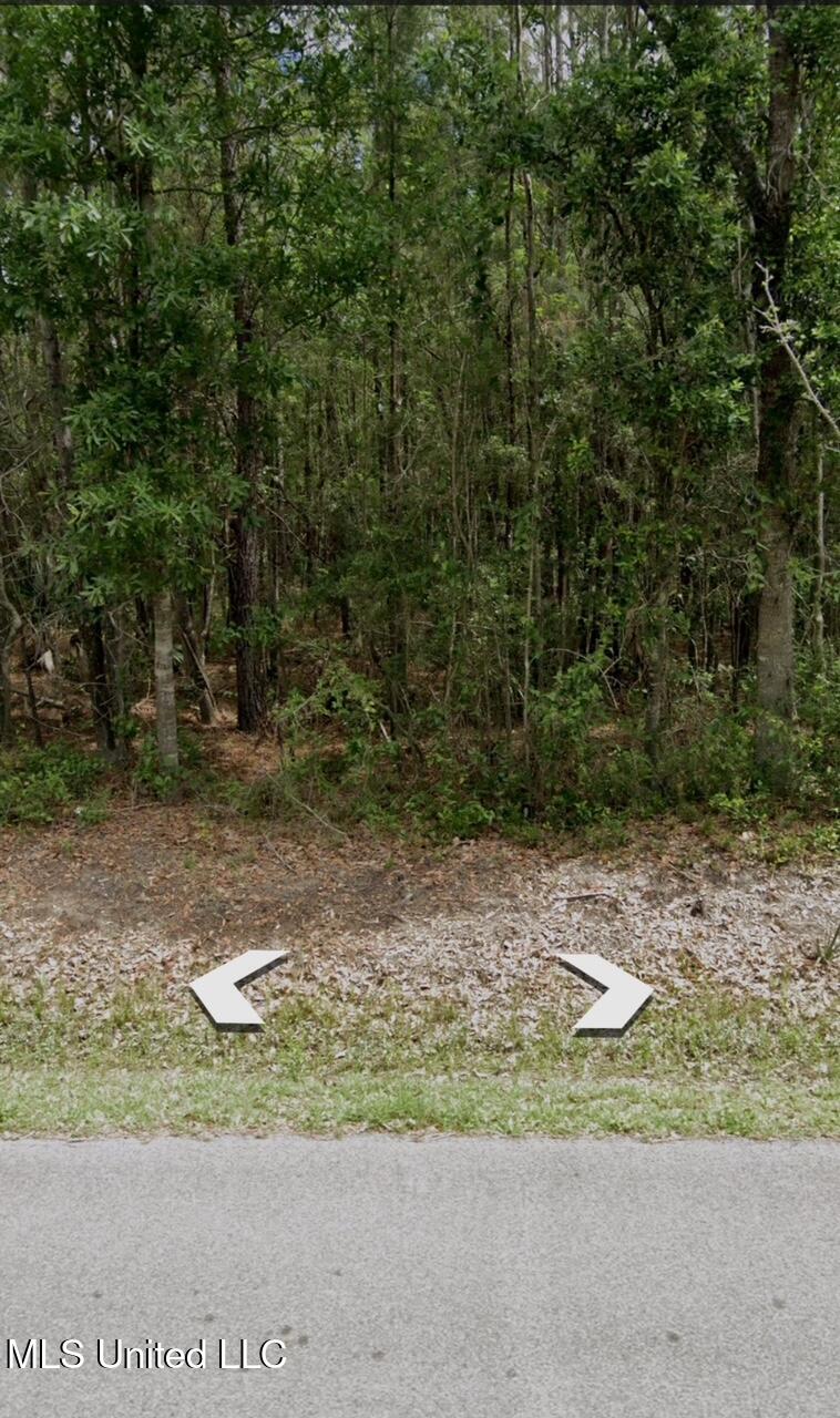 Joe's Bayou Rd