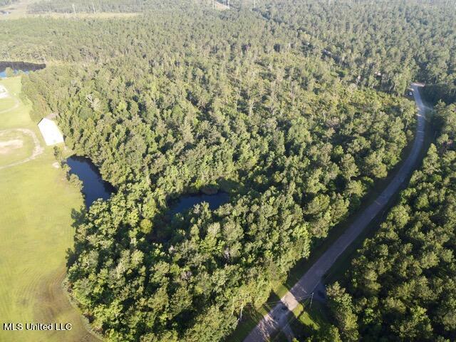 00 Jordan Bluff Road, Kiln, Mississippi image 7