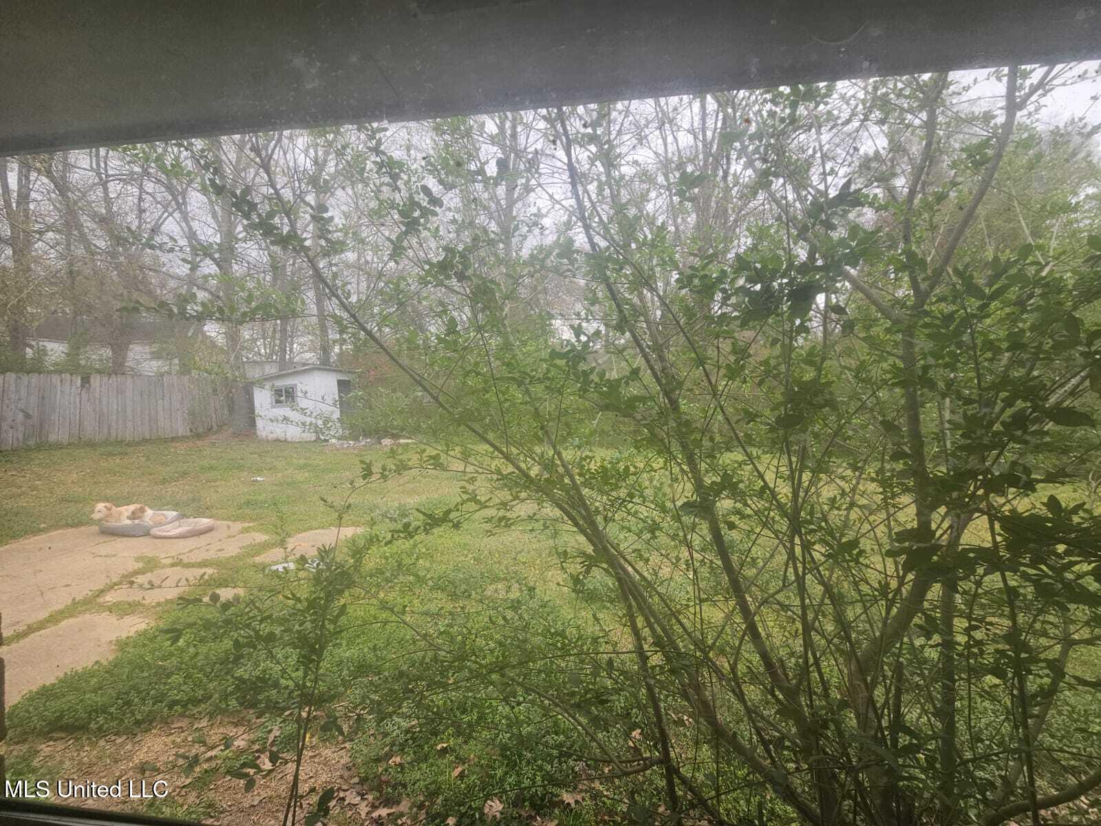 35 Mcwhirtier Avenue, Louisville, Mississippi image 6