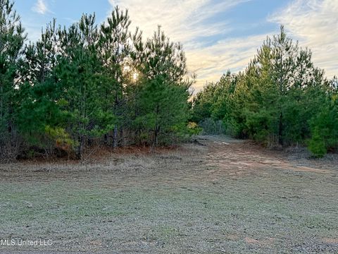 Vacant Land For Sale - 00 Airport Road<br/> Leake County, Carthage, MS 39051