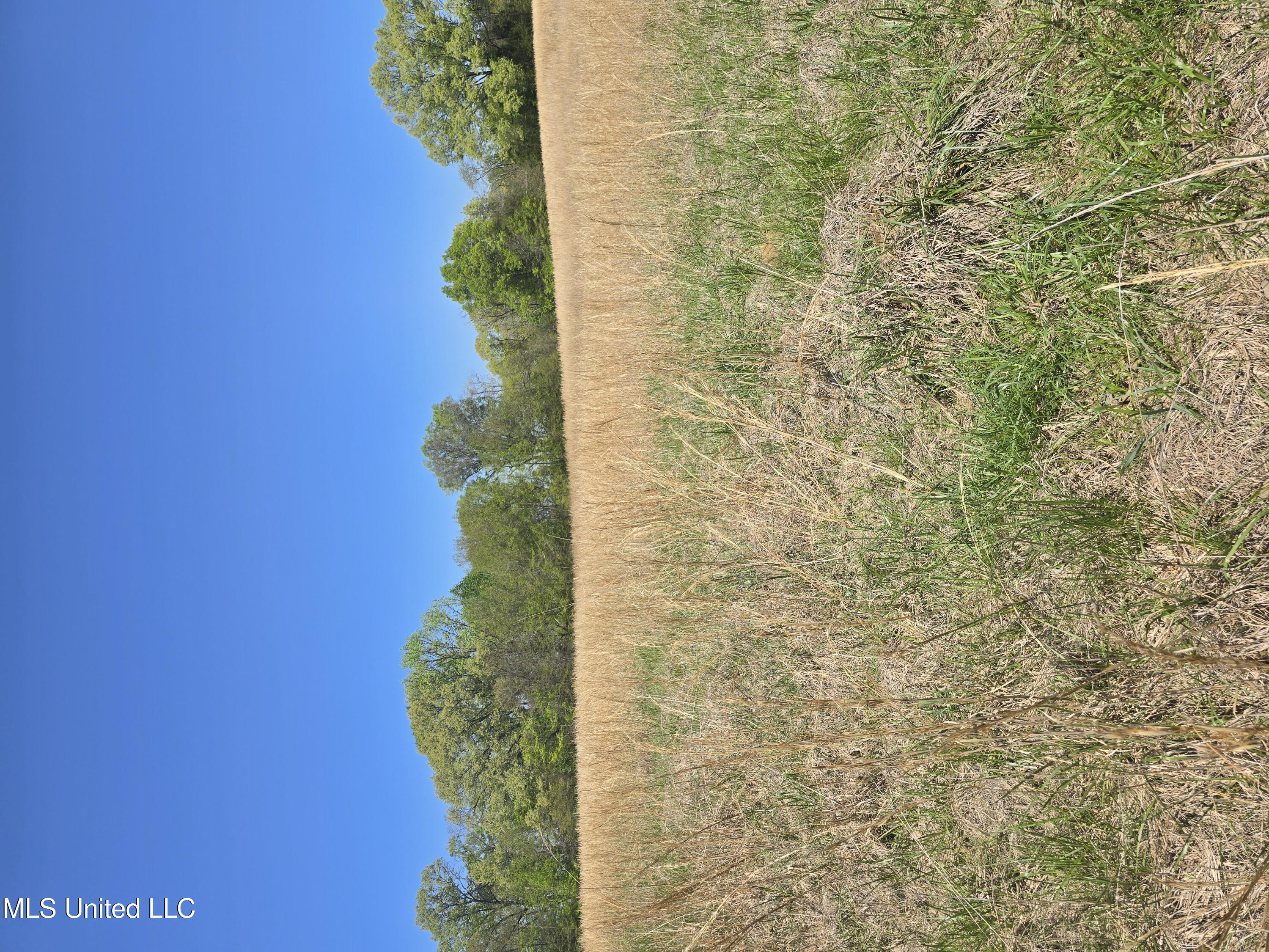 Melanie Lane, Hernando, Mississippi image 1
