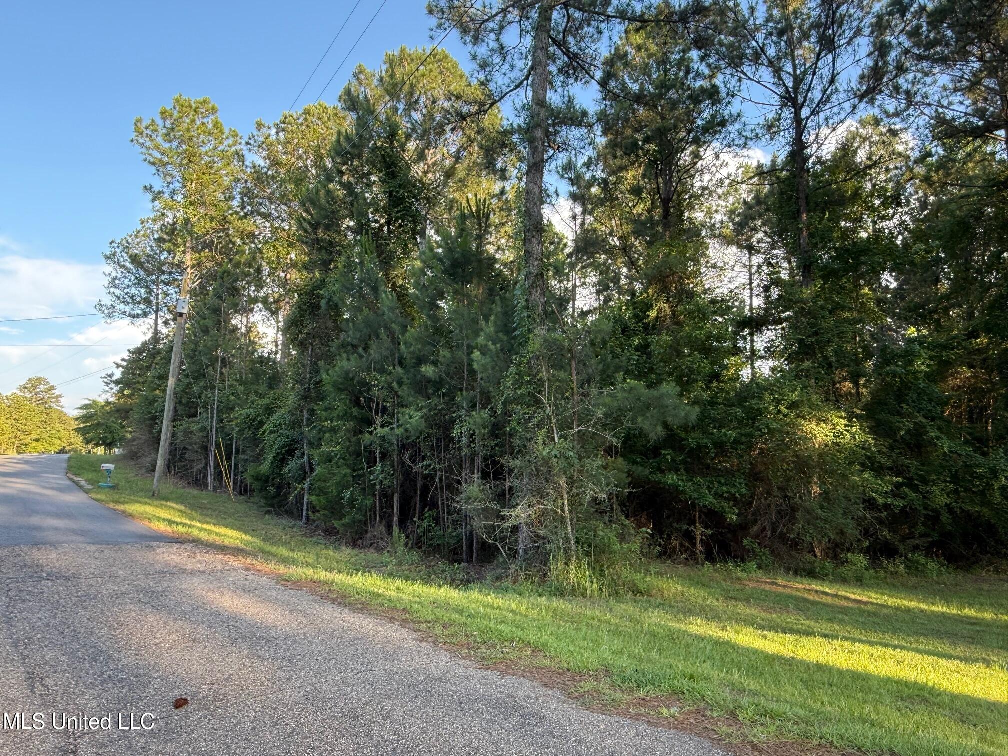 1.3 Ac Burnt Pine Rd, Leakesville, Mississippi image 3
