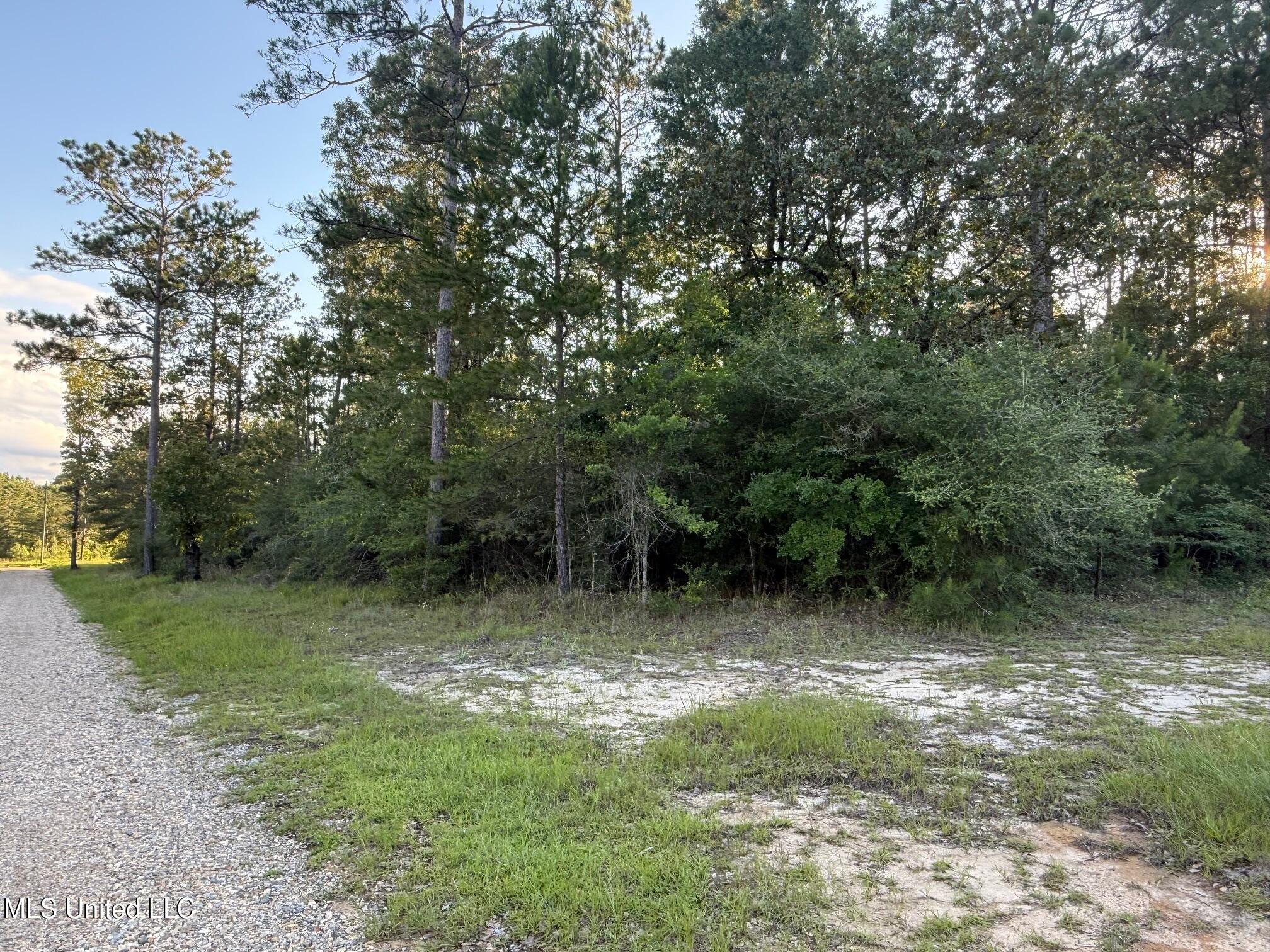 1.3 Ac Burnt Pine Rd, Leakesville, Mississippi image 5