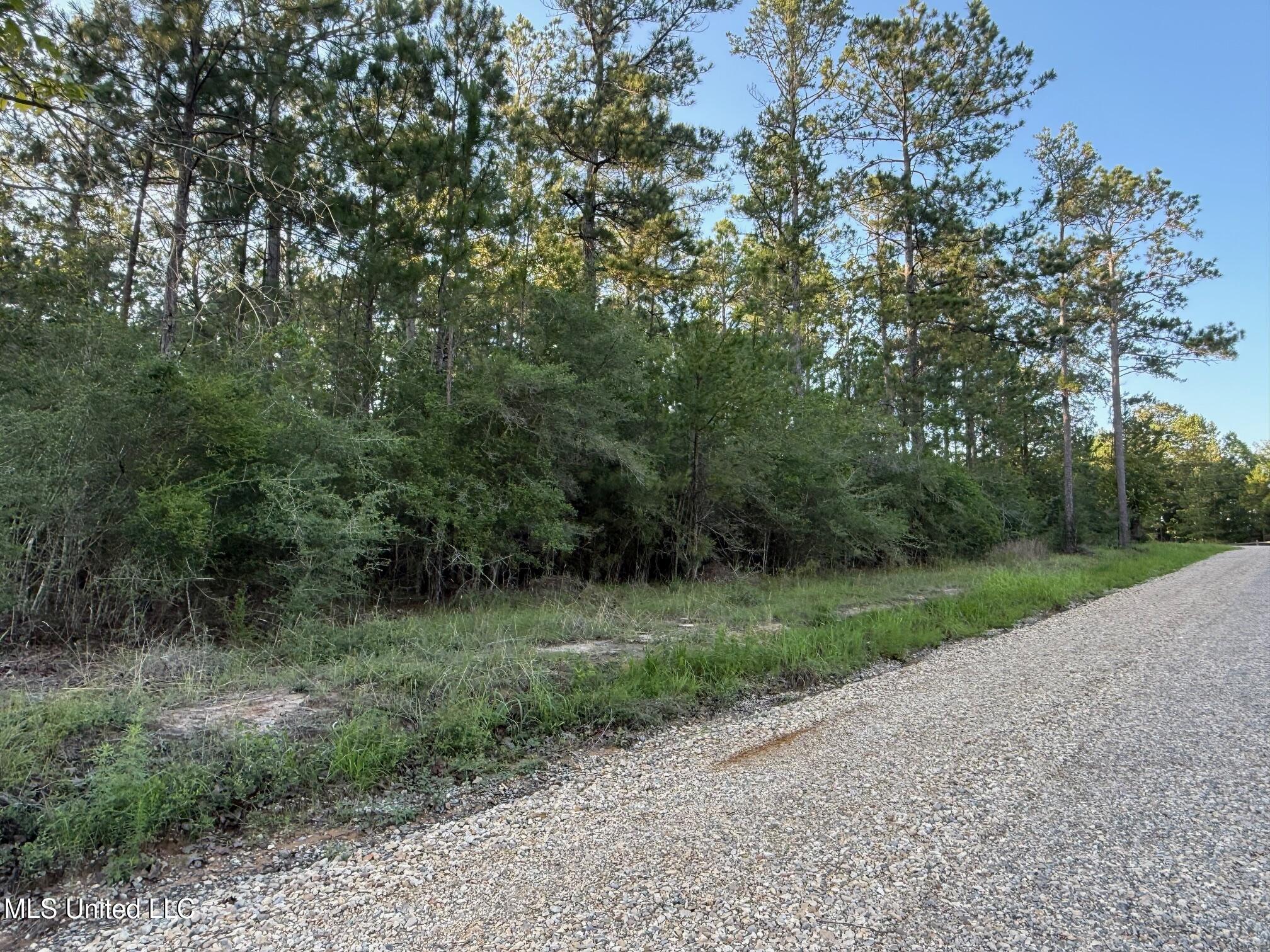 1.3 Ac Burnt Pine Rd, Leakesville, Mississippi image 2