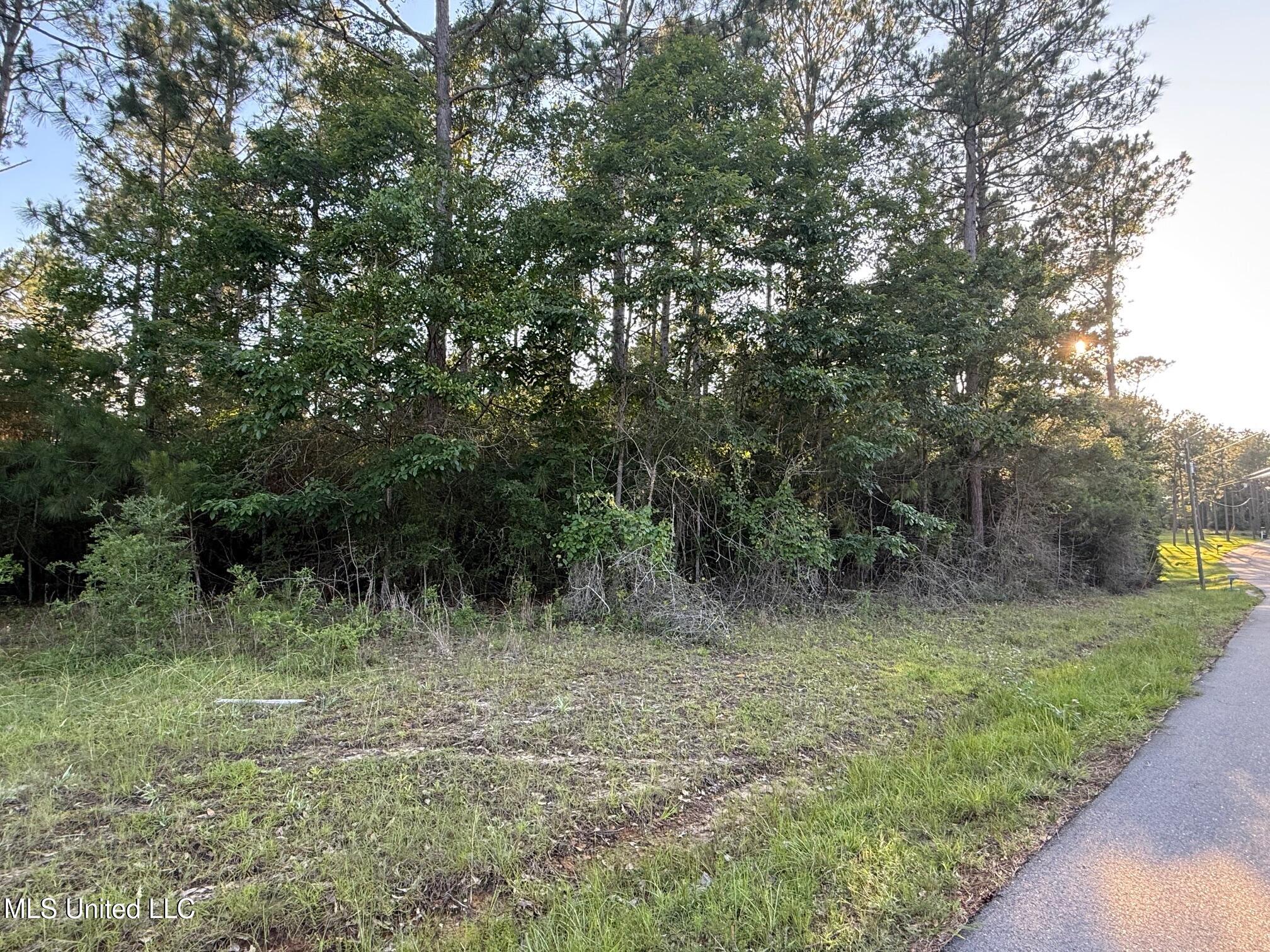 1.3 Ac Burnt Pine Rd, Leakesville, Mississippi image 4