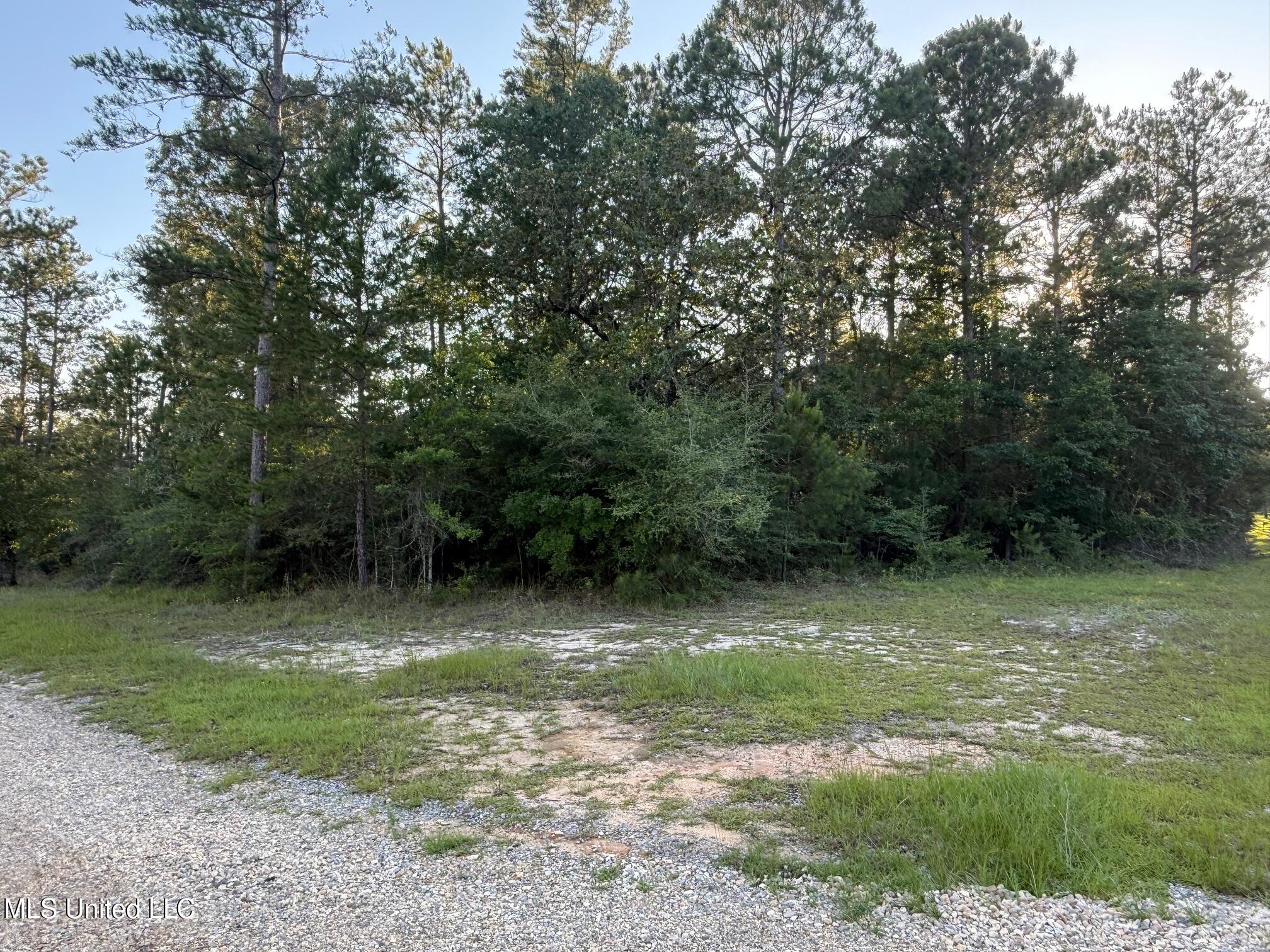 1.3 Ac Burnt Pine Rd, Leakesville, Mississippi image 1