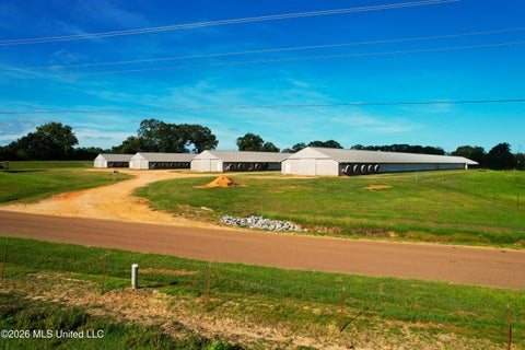 Vacant Land For Sale - 99 Coppers Ford Road<br/> Tylertown, MS 39667