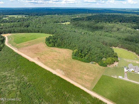 Vacant Land For Sale - PARCEL B J. Runnels Road<br/> Petal, MS 39465
