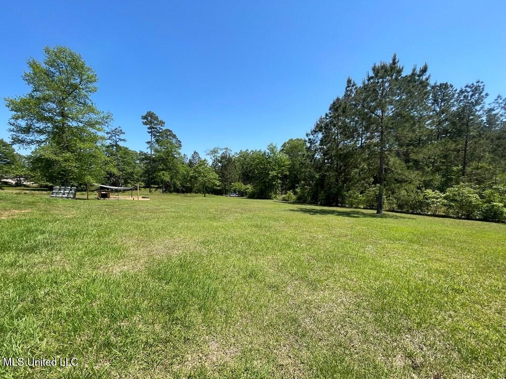 18 E Harmony Dr E Drive, Carriere, Mississippi image 24