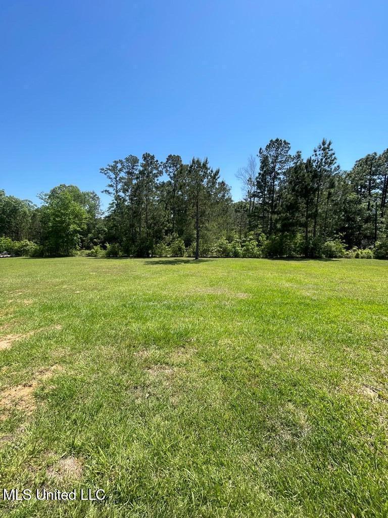 18 E Harmony Dr E Drive, Carriere, Mississippi image 21