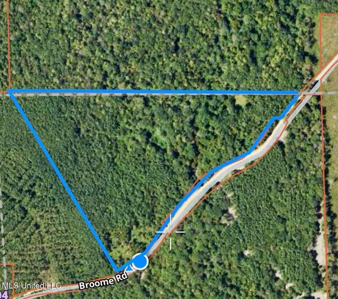 Vacant Land For Sale - Broome Road<br/> Wesson, MS 39191