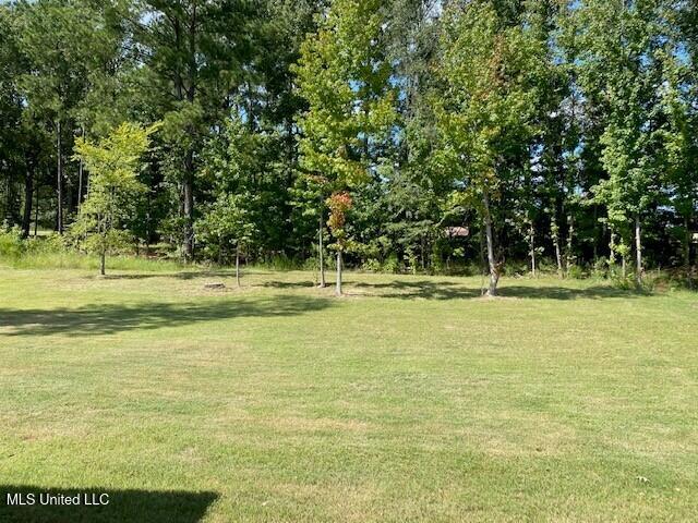 111 Herons Bay Circle, Madison, Mississippi image 18