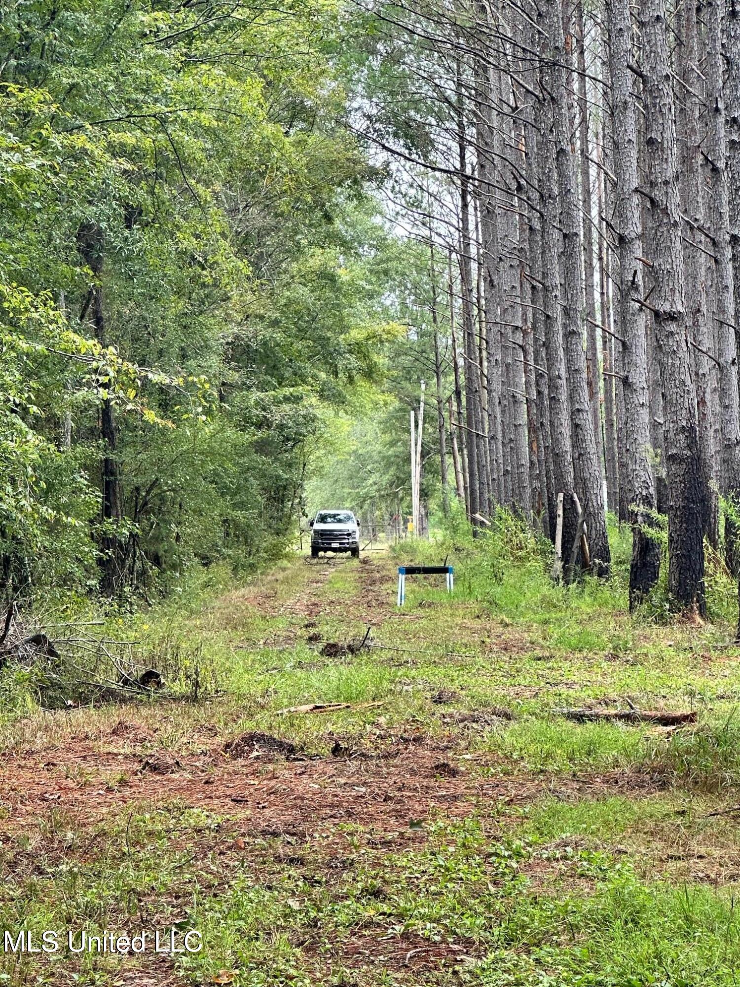 Lot #5 Swamp Road, Carthage, Mississippi image 11