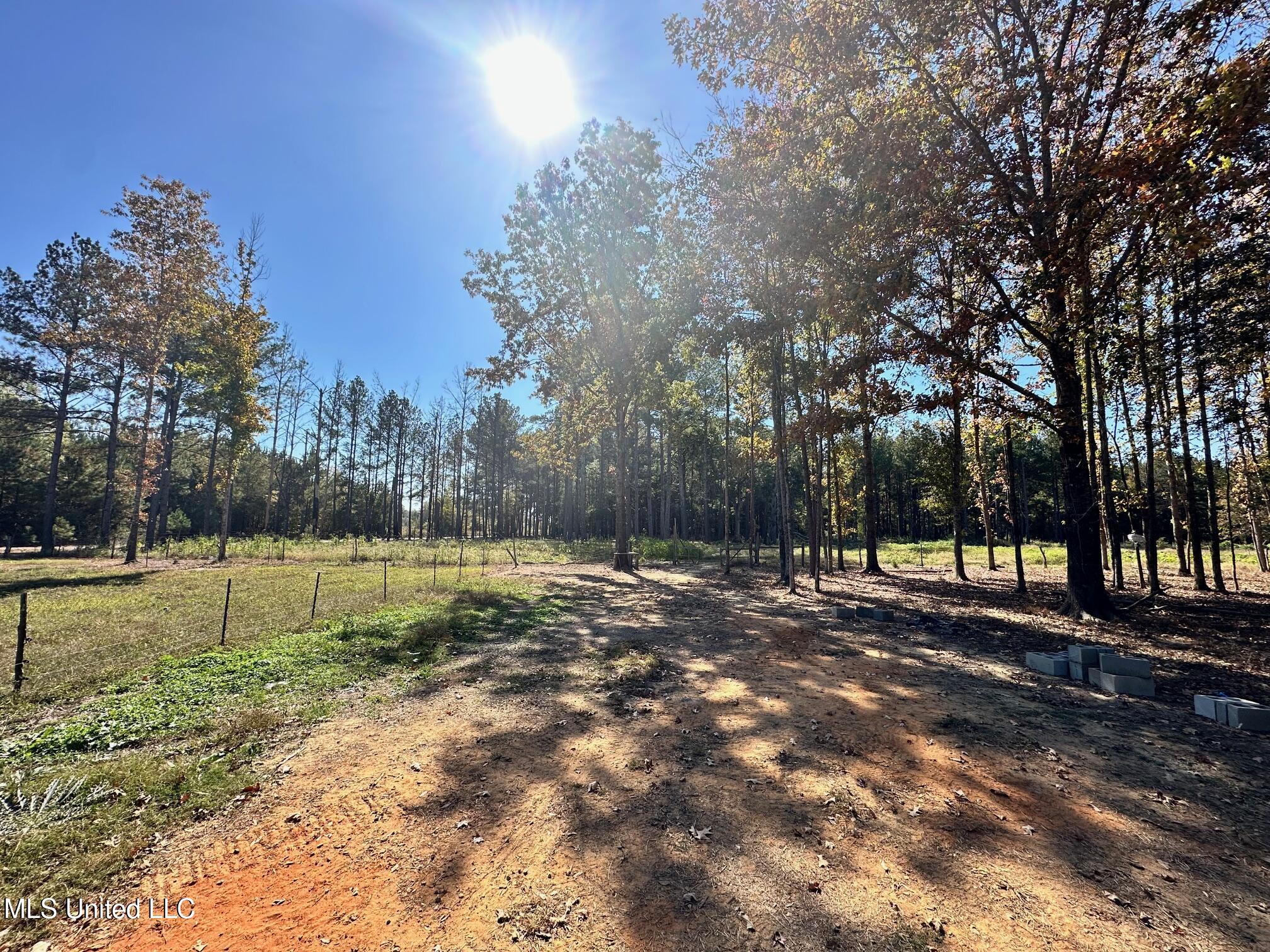 Lot #5 Swamp Road, Carthage, Mississippi image 3