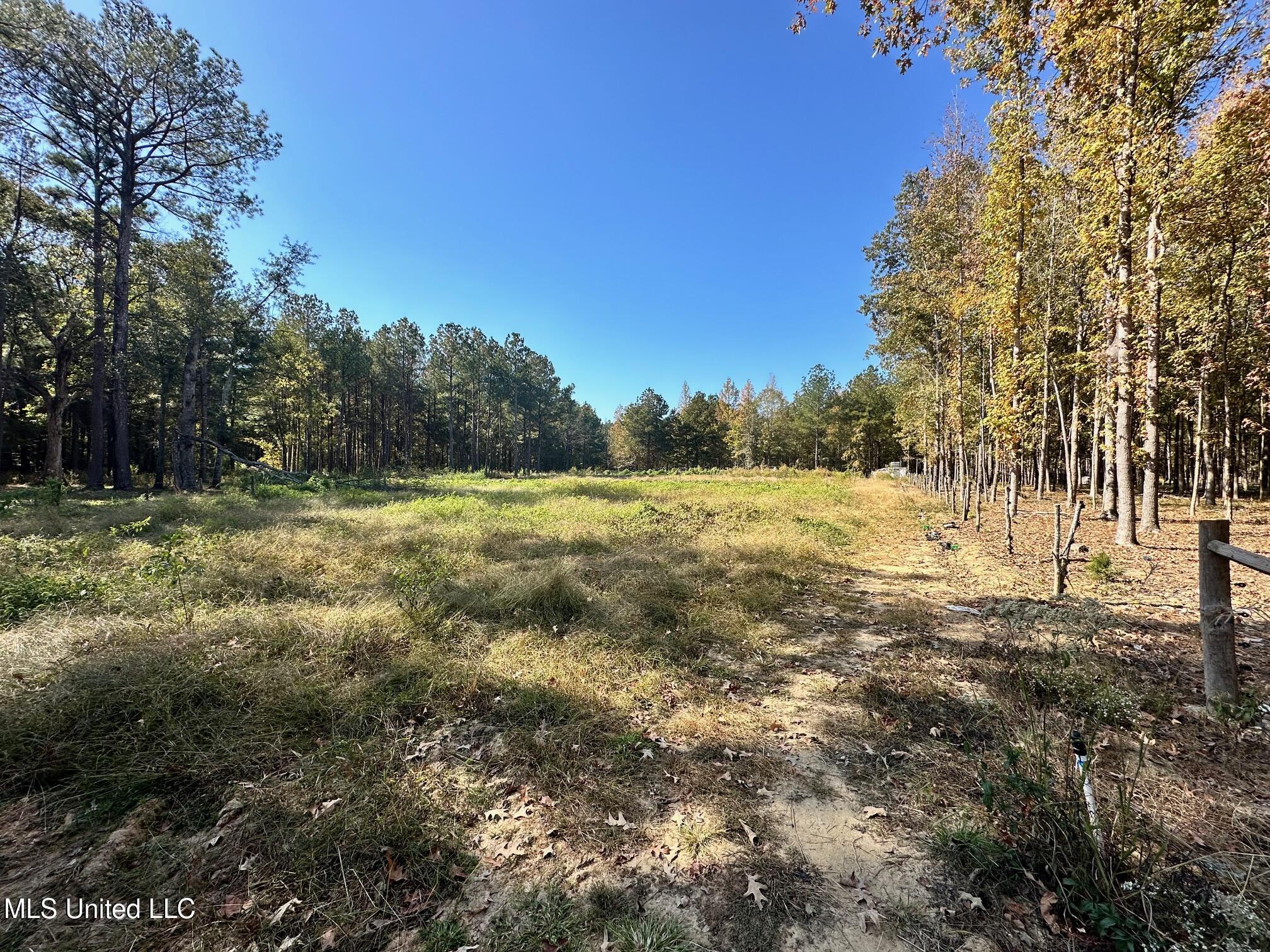 Lot #5 Swamp Road, Carthage, Mississippi image 29