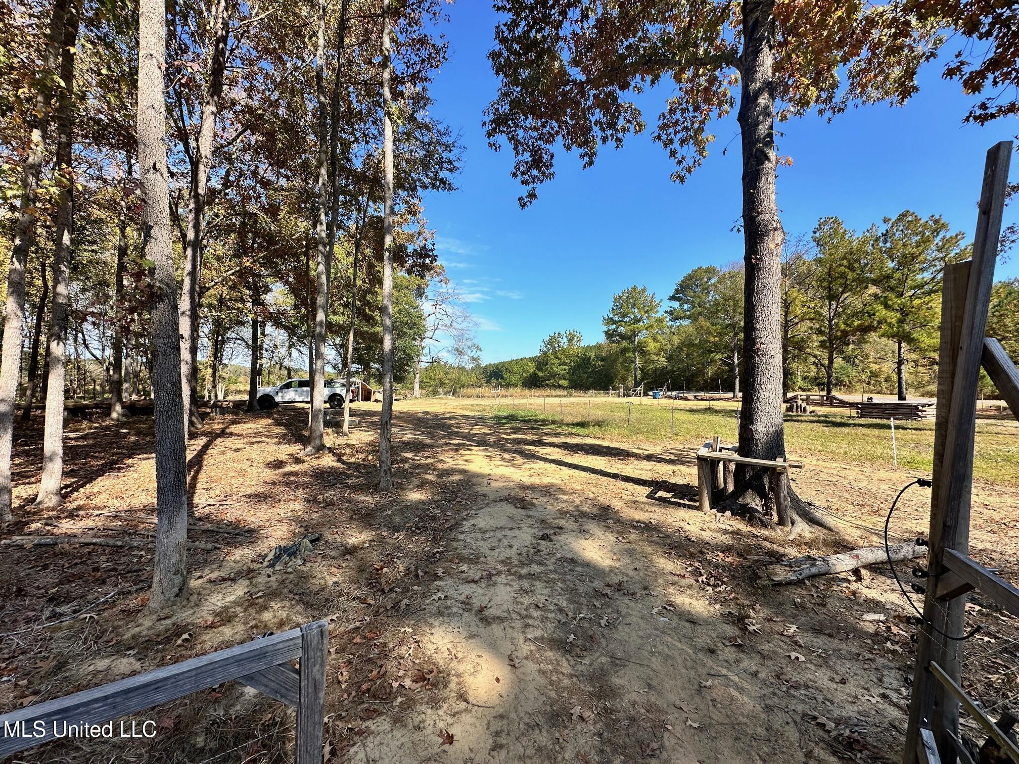 Lot #5 Swamp Road, Carthage, Mississippi image 30