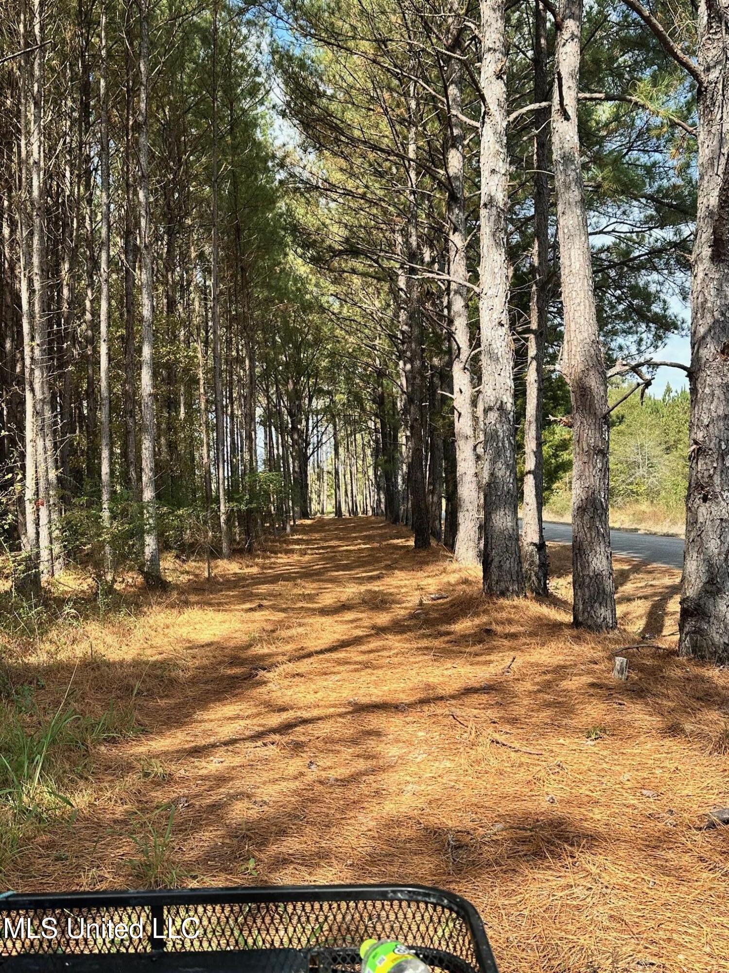 Lot #5 Swamp Road, Carthage, Mississippi image 32