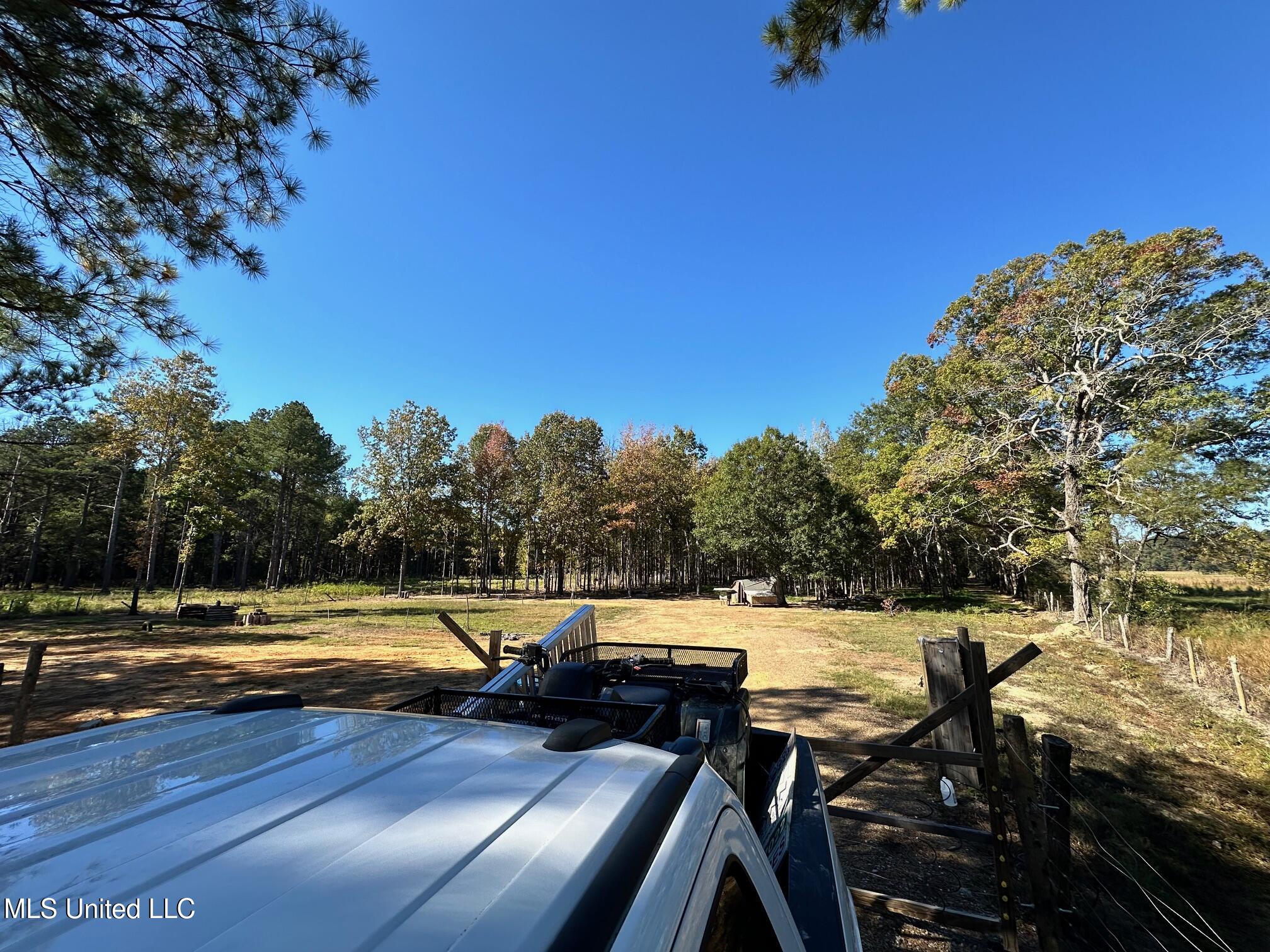 Lot #5 Swamp Road, Carthage, Mississippi image 26