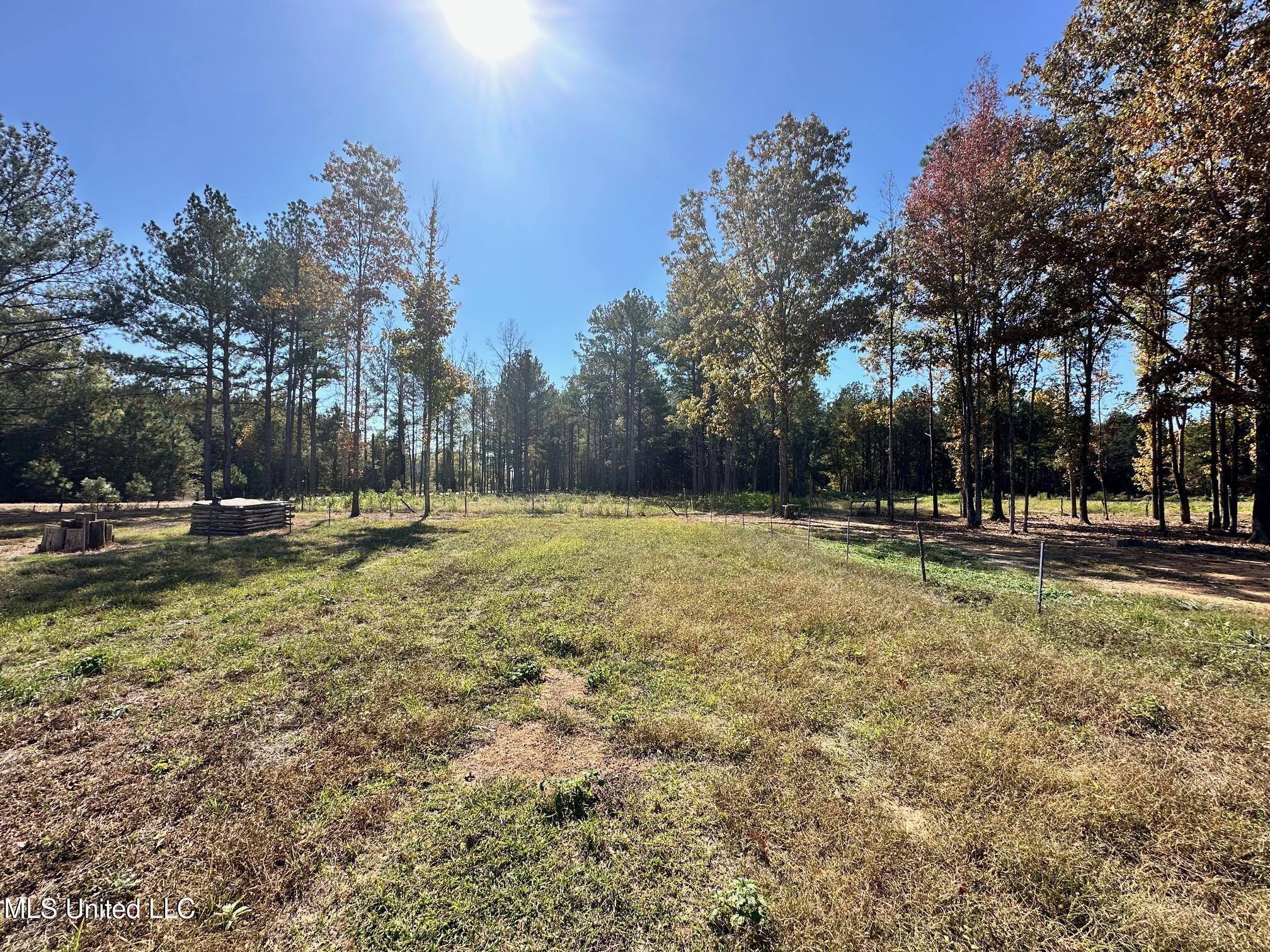 Lot #5 Swamp Road, Carthage, Mississippi image 9