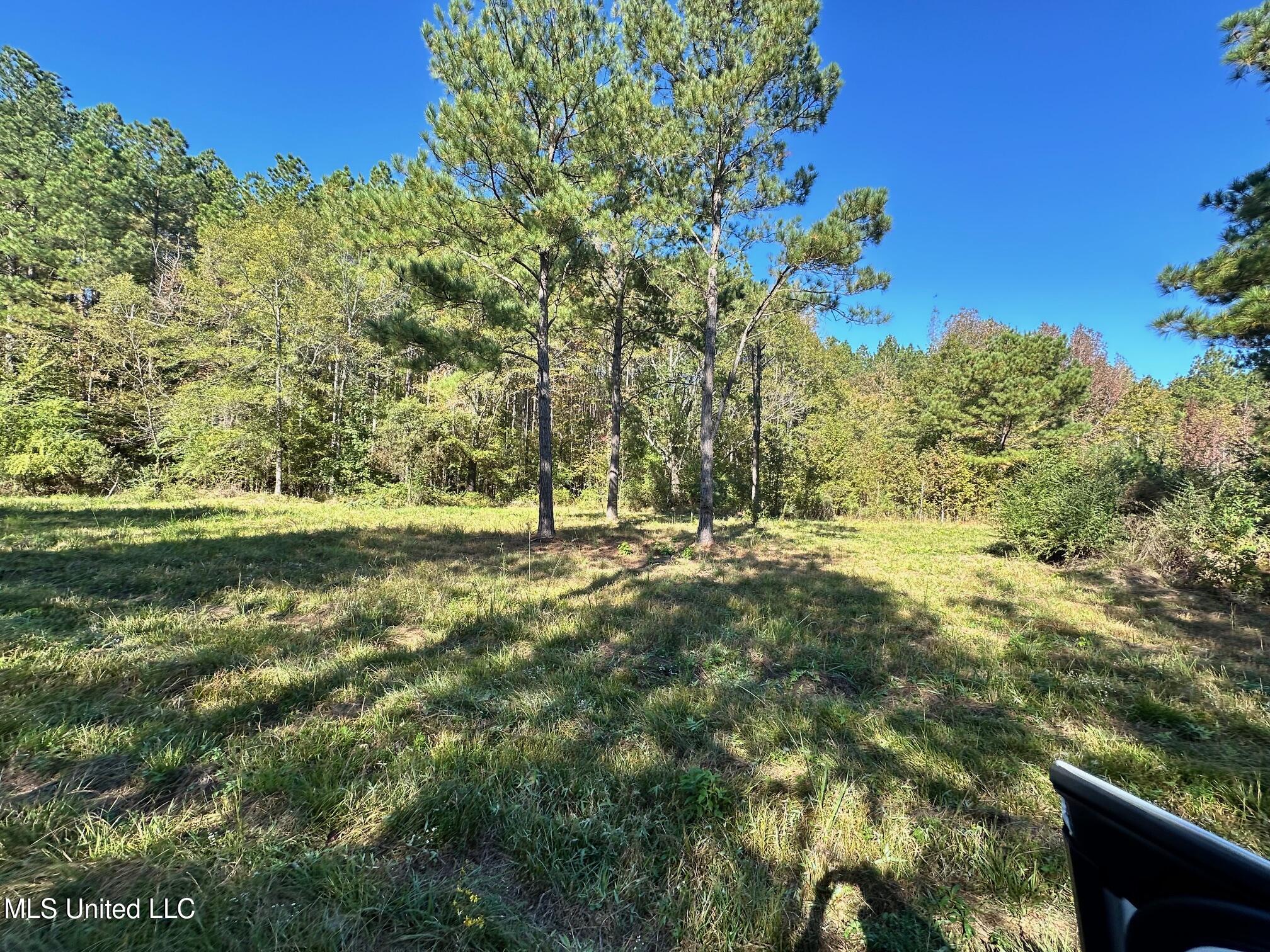 Lot #5 Swamp Road, Carthage, Mississippi image 25