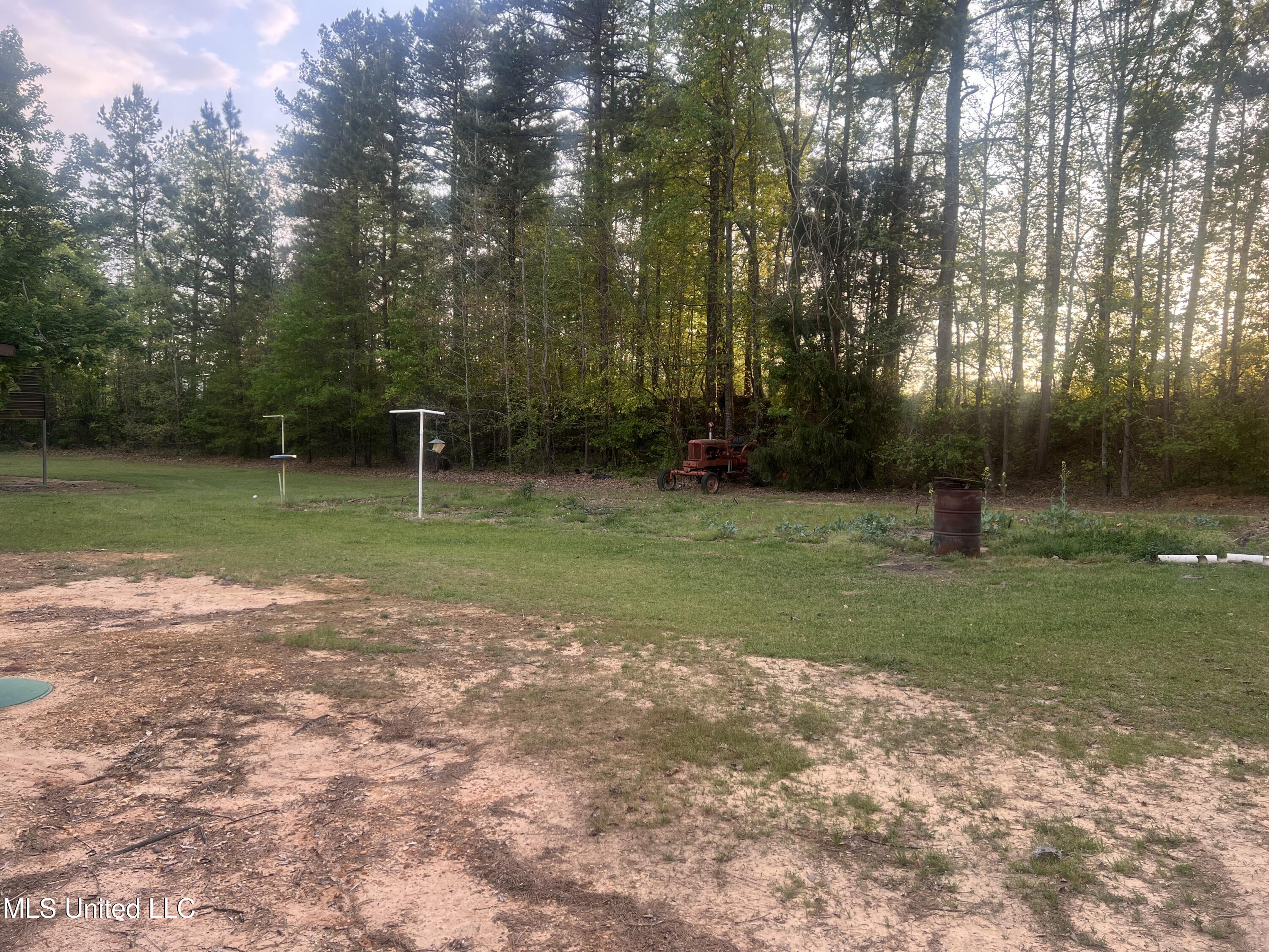 4633 Blackjack Road, Ashland, Mississippi image 5