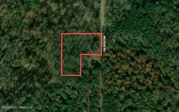 MELROSE RD, COMO, MS 38619 - Image 3ec192aee6d20b7bdc8511ebf028fbd7/2727086884