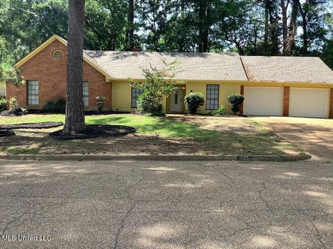 Homes For Sale - 1528 Tracewood Drive<br/> Hinds County, Jackson, MS 39211
