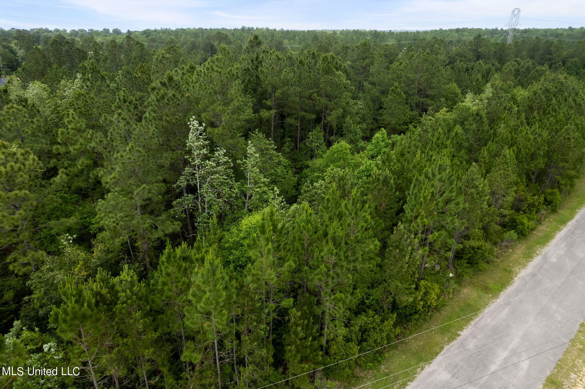 Lot 208 Schrader, Saucier, Mississippi image 4