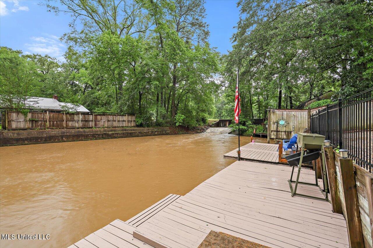 102 Holly Trail, Brandon, Mississippi image 39