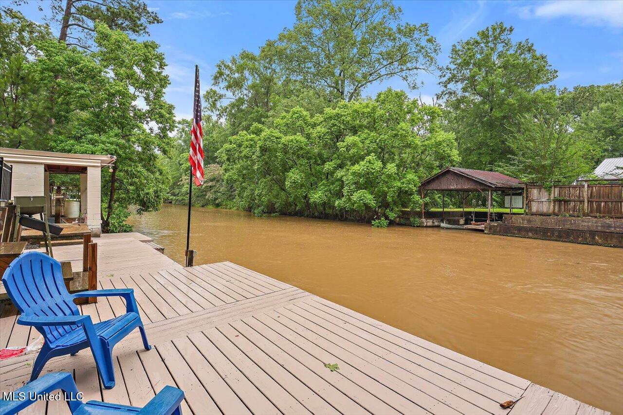 102 Holly Trail, Brandon, Mississippi image 40