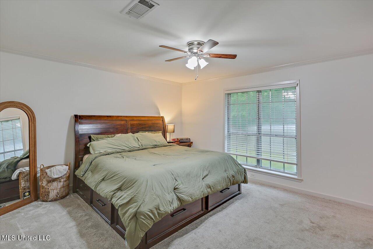 102 Holly Trail, Brandon, Mississippi image 23
