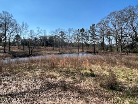 Vacant Land For Sale - Sawmill Road<br/> Sandy Hook, MS 39478
