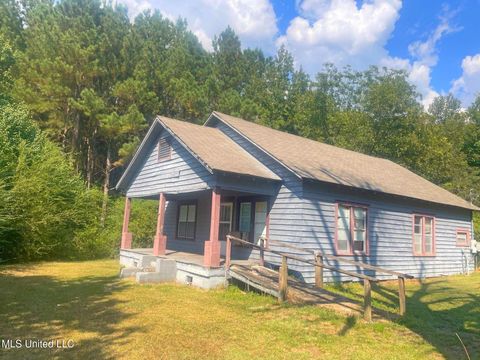 Homes For Sale - 9234 Null Road<br/> Lauderdale County, Lauderdale, MS 39335