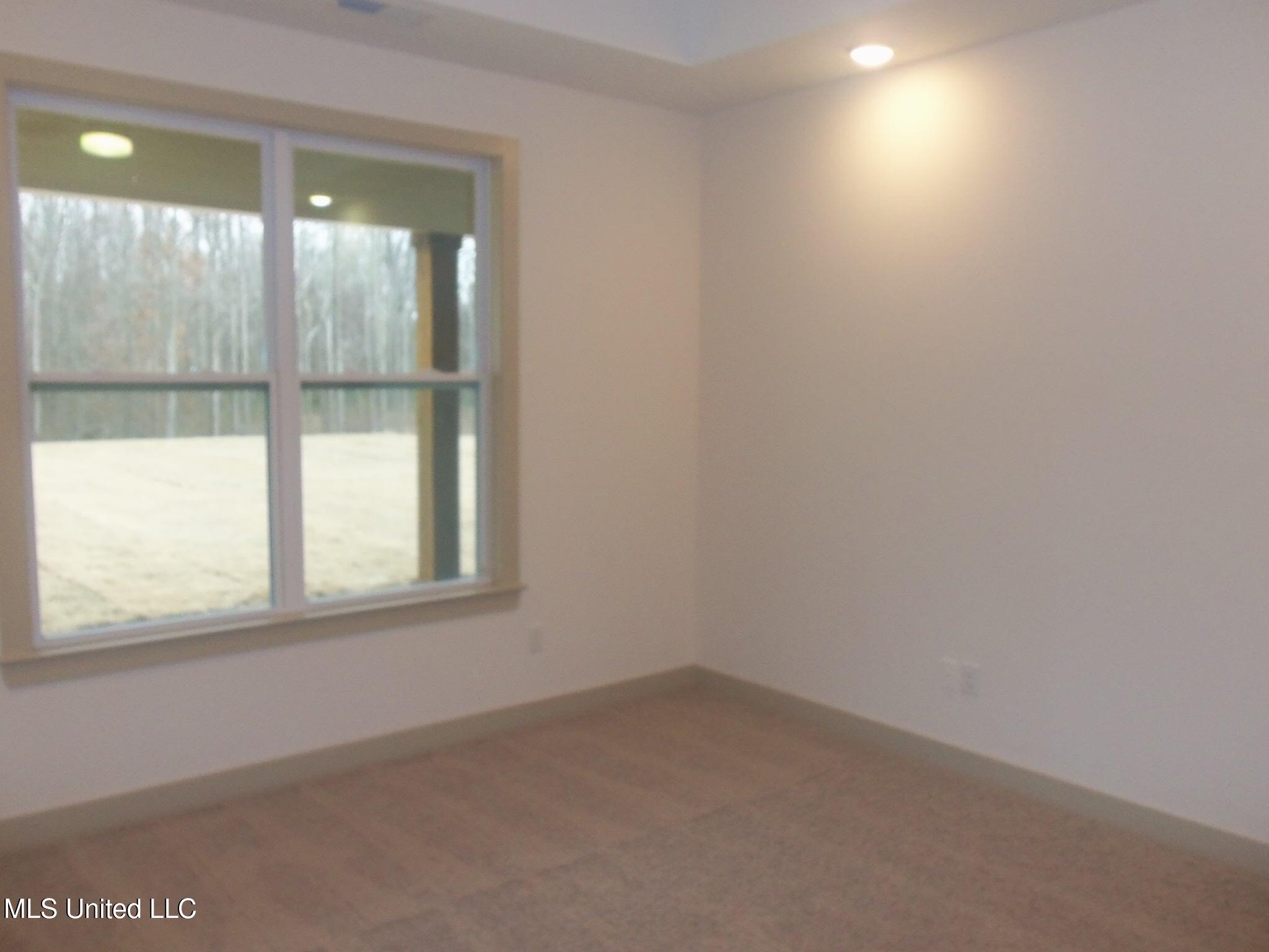9676 Crape Myrtle Drive, Olive Branch, Mississippi image 21
