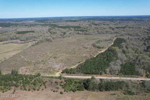 Vacant Land For Sale - 1009 Chance Road<br/> Amite County, Centreville, MS 39631
