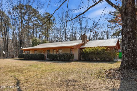 Homes For Sale - 4221 Oakley Palestine Road<br/> Raymond, MS 39154